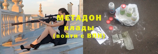 индика Алексин