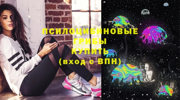 индика Алексин
