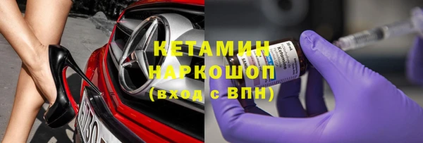 индика Алексин