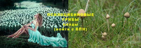ALPHA PVP Алексеевка