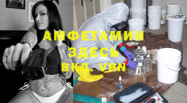 индика Алексин