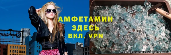 индика Алексин