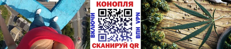 Каннабис сатива Абинск